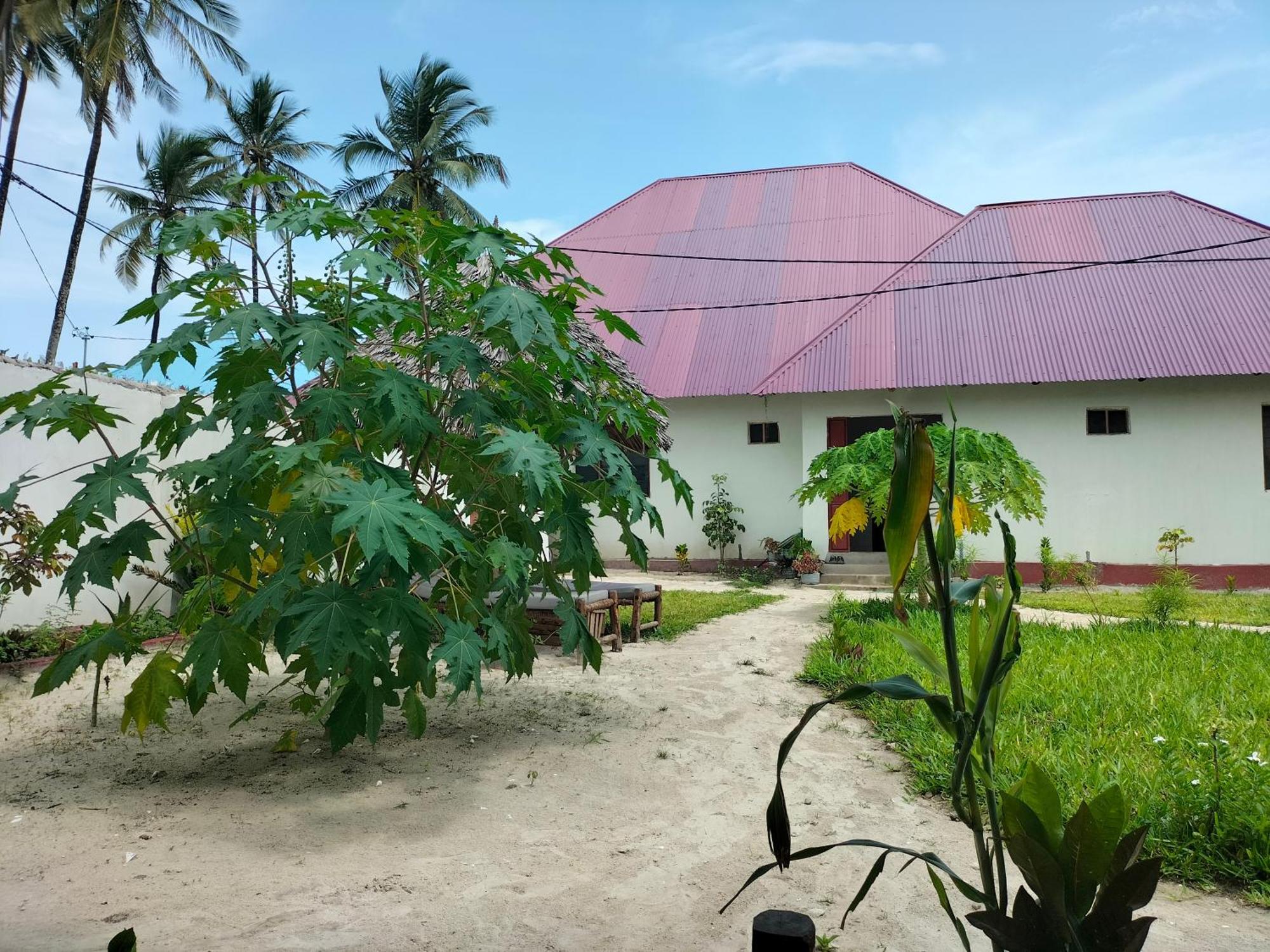 Mambo Leo Hostel 파제 외부 사진