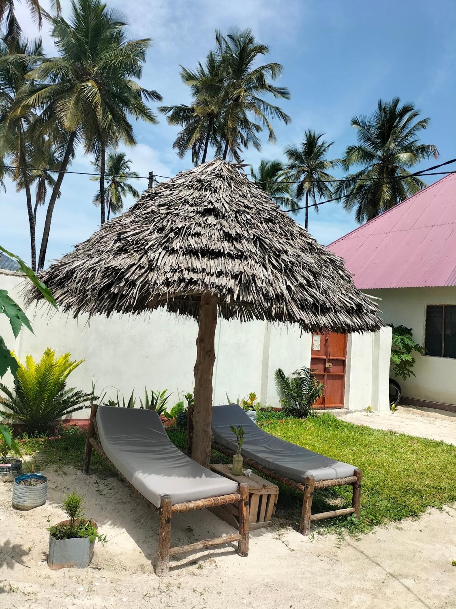 Mambo Leo Hostel 파제 외부 사진