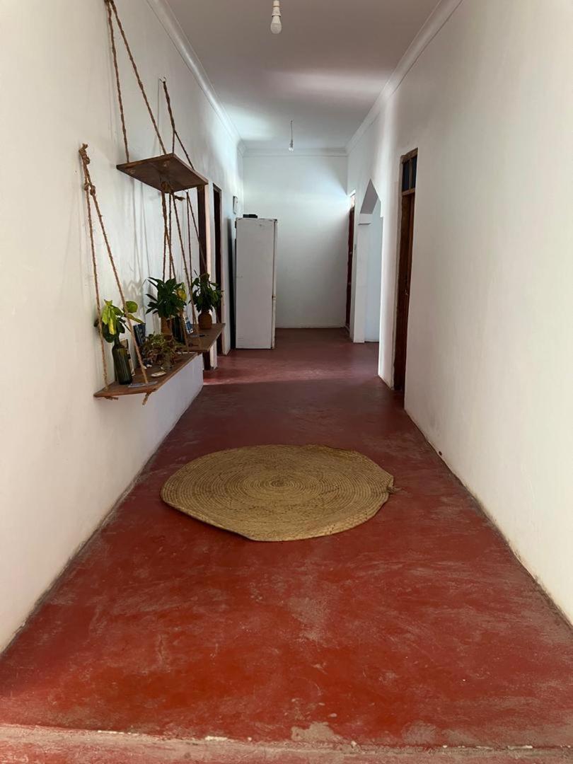 Mambo Leo Hostel 파제 외부 사진